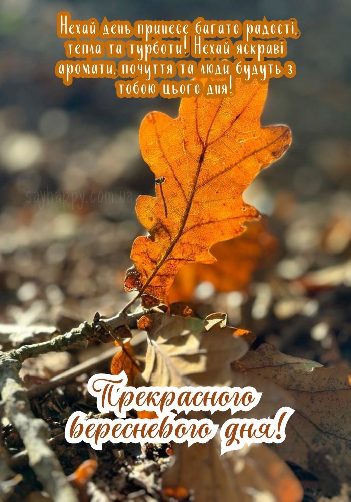 Світлого і лагідного осіннього дня з м’якими фарбами природи