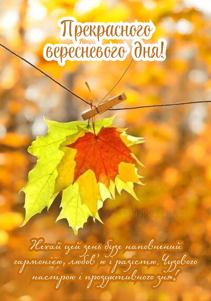 Легкого вересневого дня з мріями, що збуваються