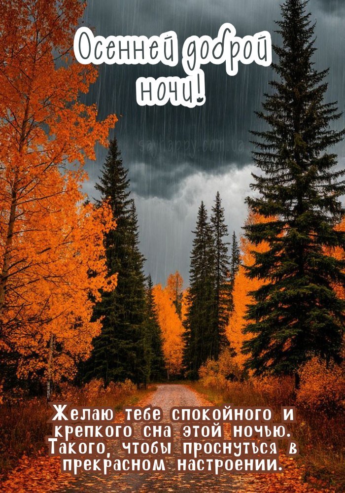Чудової осінньої ночі