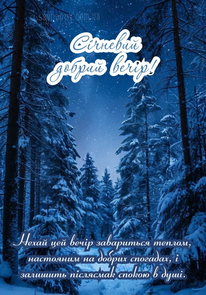 Сніжний вечір