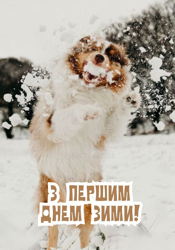 Зимова картинка з теплими побажаннями