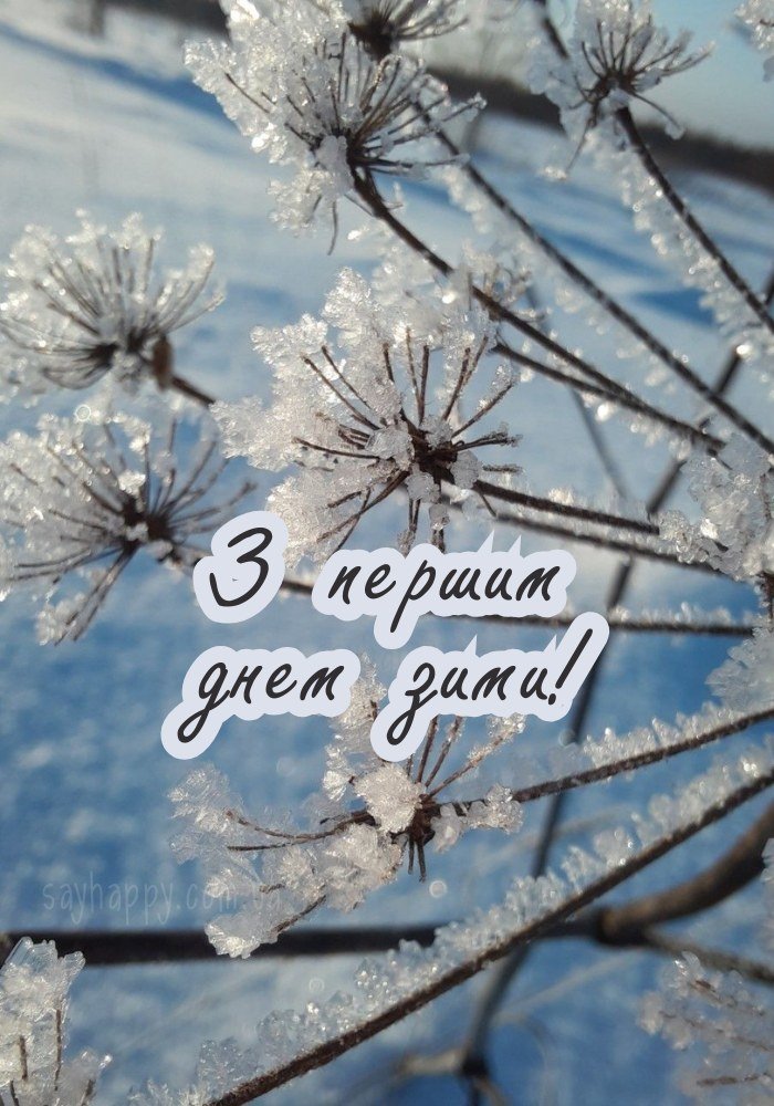 Теплі побажання в зимовий день