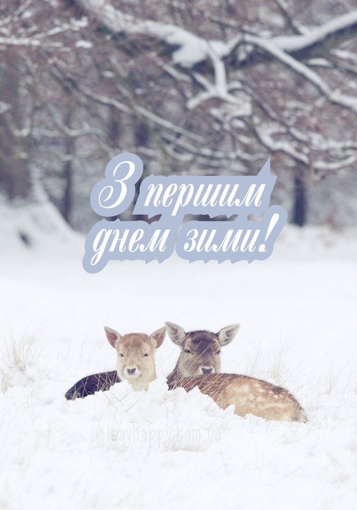Затишок у перший день зими