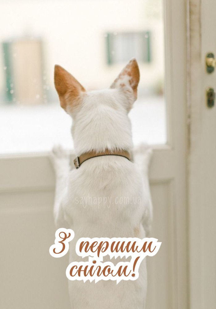 З першим снігом