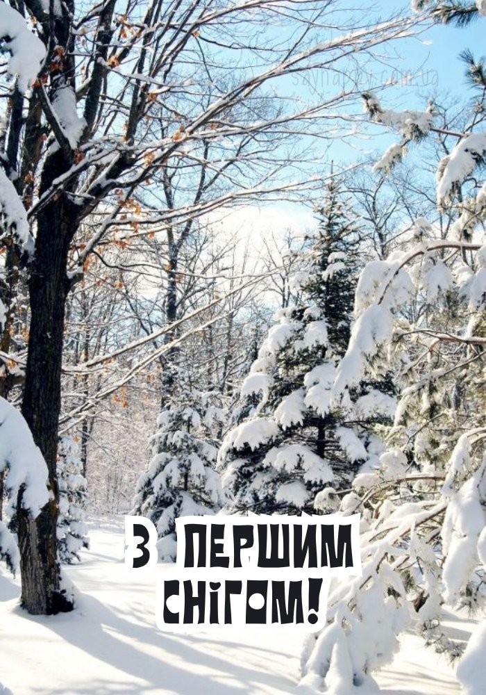 Зимова свіжість