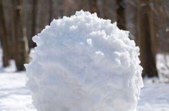 Чудового зимового недільного ранку – картинки (30 фото)