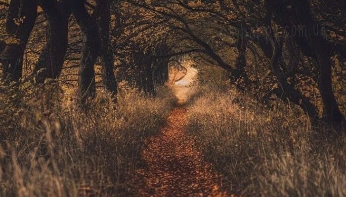Добрий осінній вечір суботи картинки (35 фото)