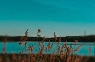 Гарного літнього вечора вівторка картинки (30 фото)