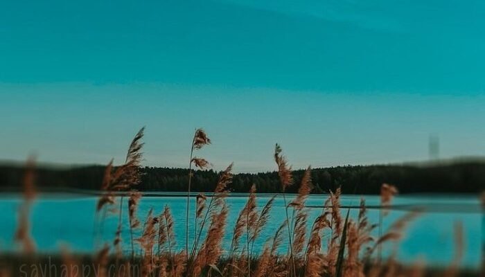 Гарного літнього вечора вівторка картинки (30 фото)