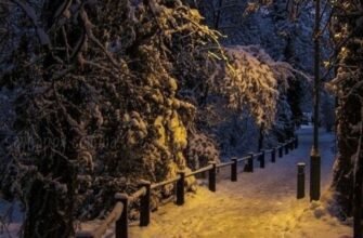 Картинки – Чудового зимового вечора в неділю! (30 фото)