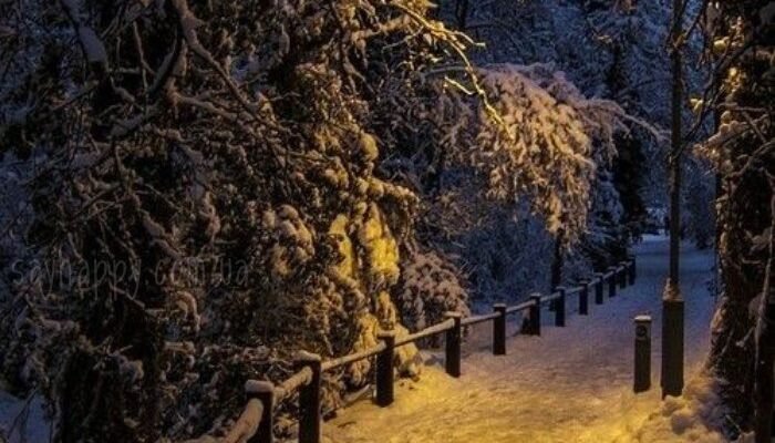 Картинки – Чудового зимового вечора в неділю! (30 фото)