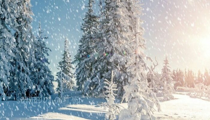 Картинки – Казкового зимового ранку середи! (30 фото)