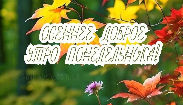 Картинки – Осеннего доброго утра понедельника! (30 фото)