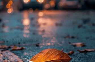 Картинки – Сентябрьского уютного вечера! (30 фото)