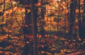 Картинки Прекрасного осіннього вечора п’ятниці (35 фото)