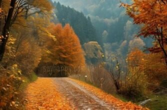 Картинки с пожеланием хорошего осеннего дня (30 фото)