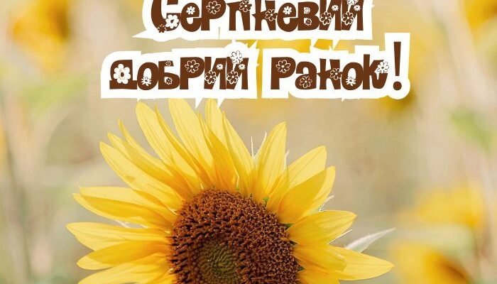 Прекрасного серпневого ранку – яскраві картинки  (35 фото)