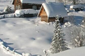 Прекрасного зимового ранку понеділка! – картинки (30 фото)