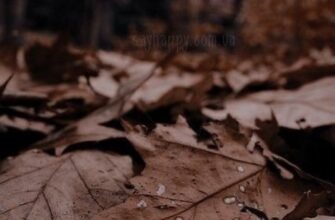 Затишного осіннього вечора вівторка картинки (35 фото)