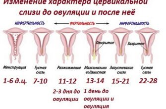 Чи можливі кров’яні виділення під час овуляції: що варто знати?