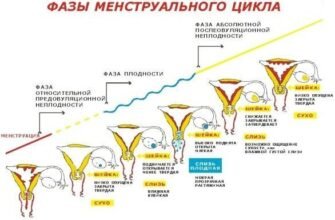 Причини коричневих виділень на початку місячних: основні фактори