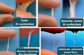 “Симптоми та зміни виділень перед овуляцією: що потрібно знати”