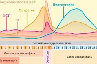 Виділення з грудей перед місячними: причини та коли звертатися до лікаря